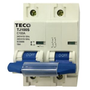 MCB TJ100S 2P 100A 10kA